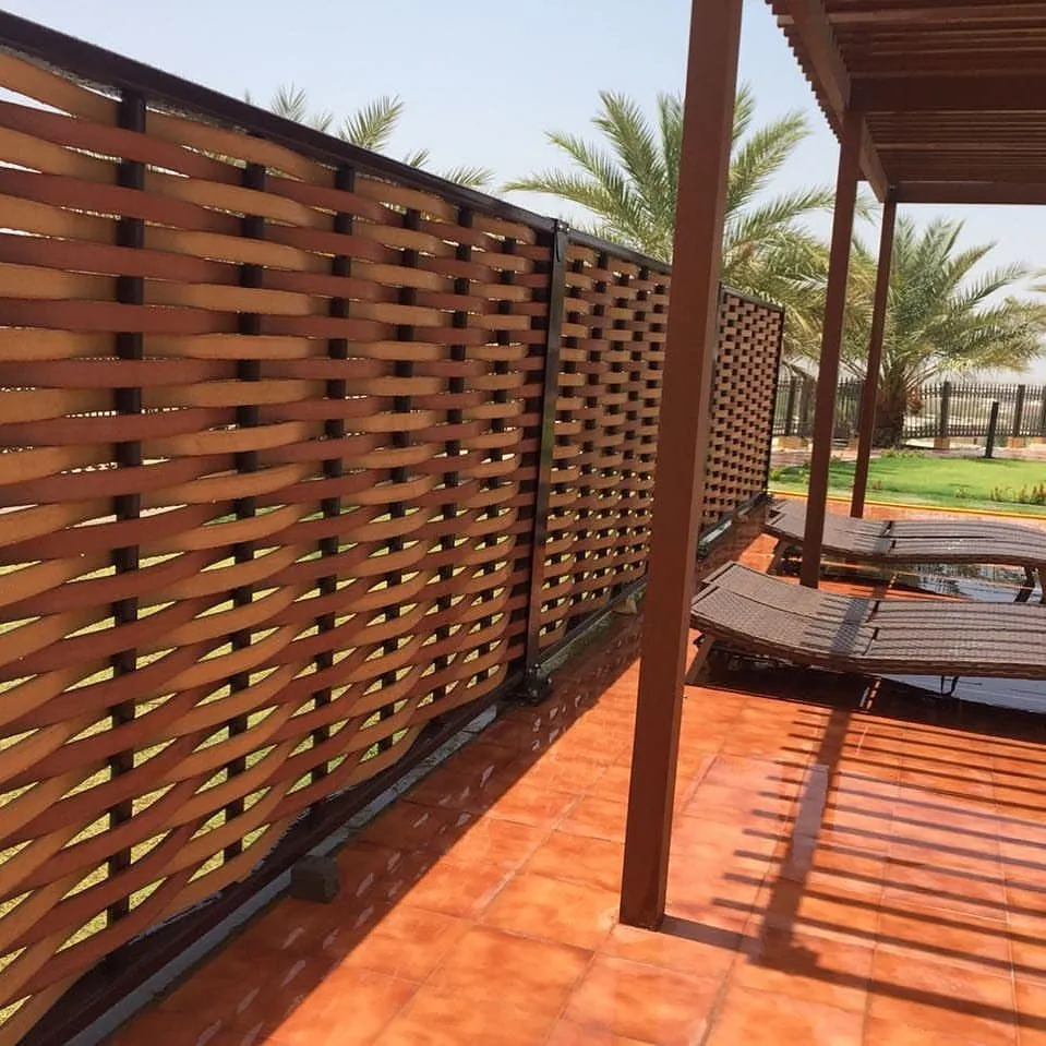 صورة المقال