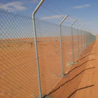 صورة المقال