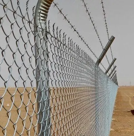 صورة المقال