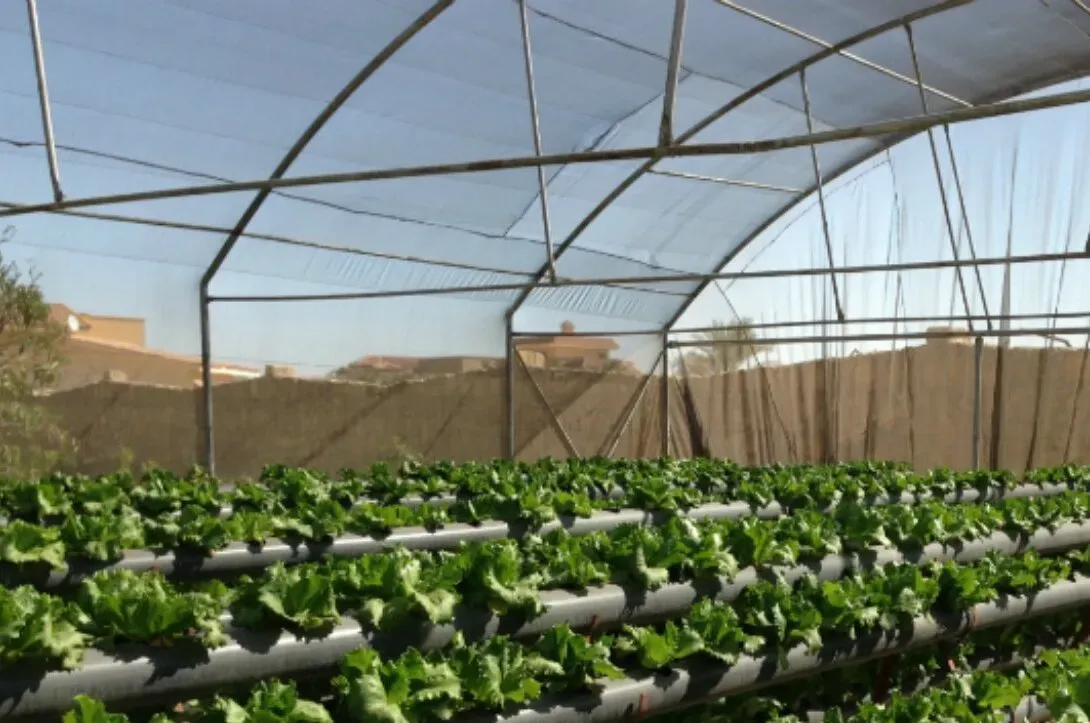 تركيب شبوك مزارع بجدة تسوير اراضي 05527997570